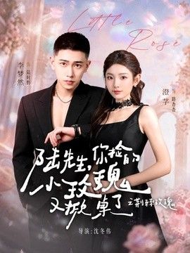 陆先生，你捡的小玫瑰又掀桌了之荆棘玫瑰（太子爷的小玫瑰又掀桌了）