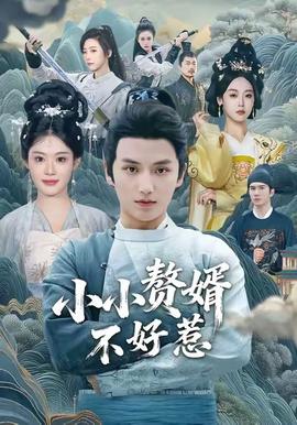 小小赘婿不好惹